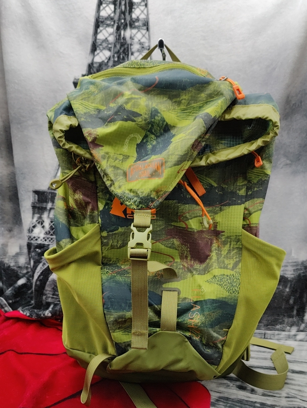 REI Co-op Flash 22 Print Back Pack